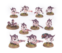 Termagants